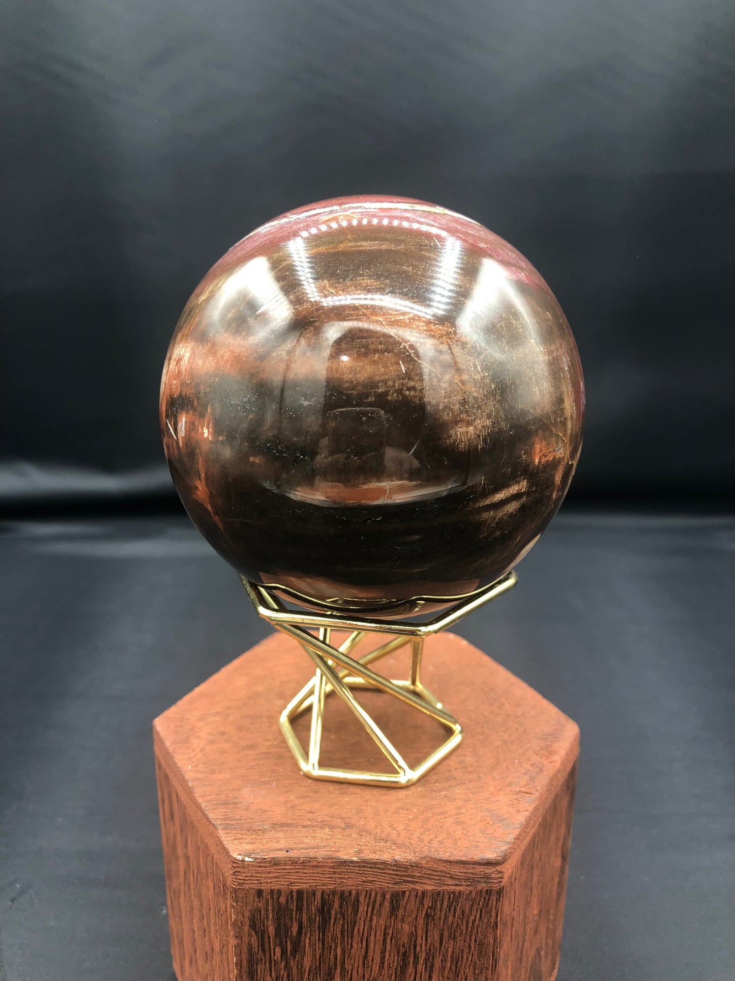 Petrified Wood Sphere