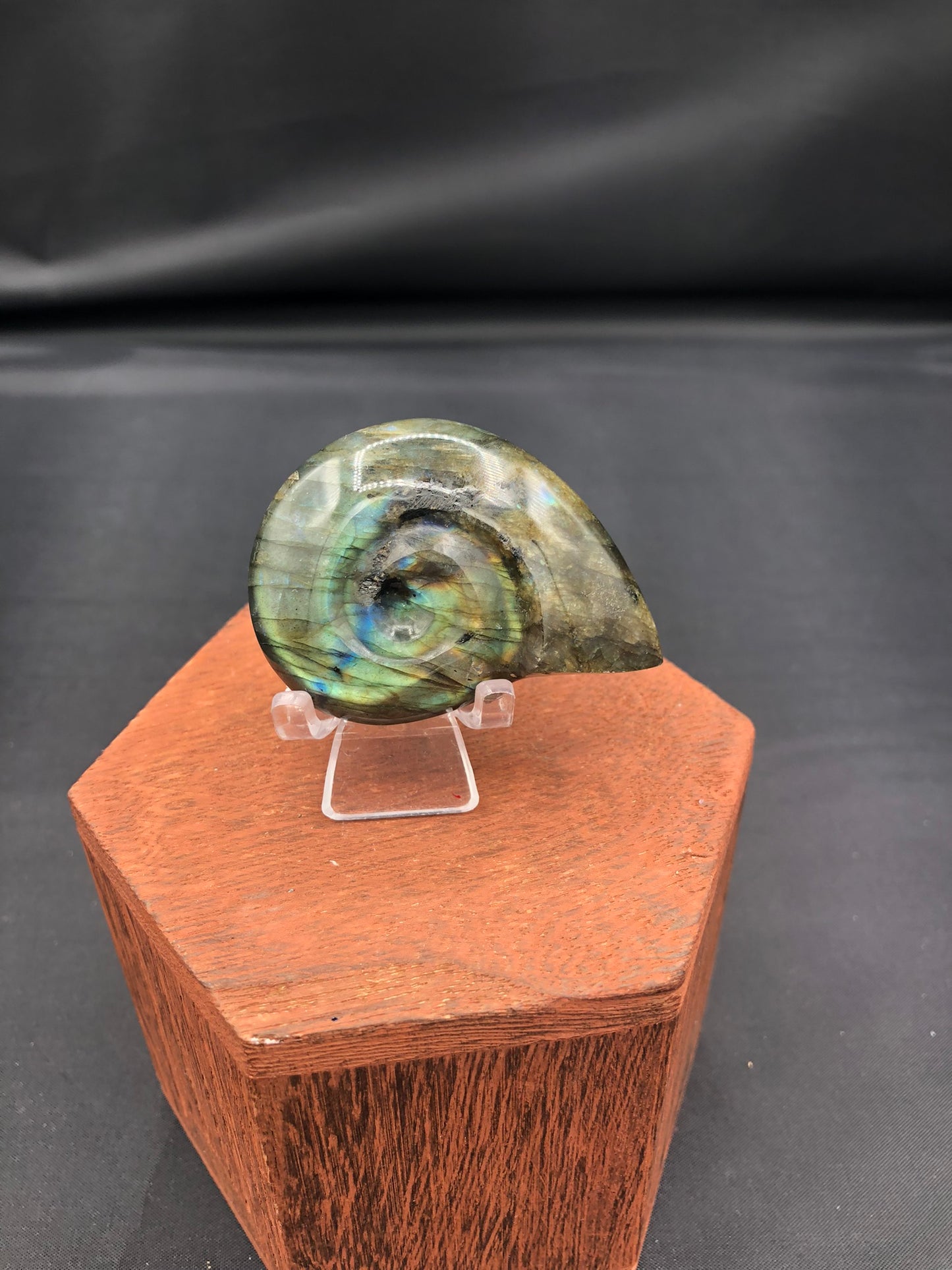 Labradorite Shell