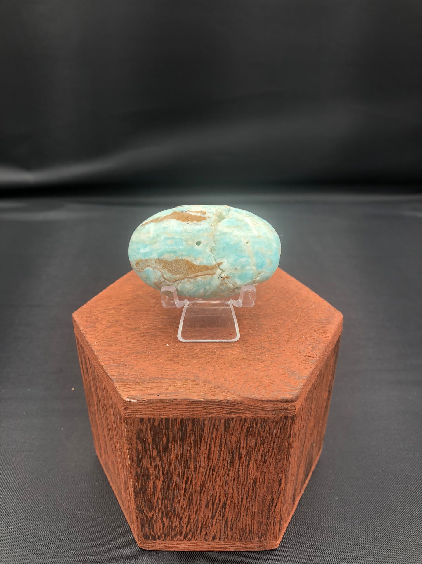 Caribbean Calcite Palm